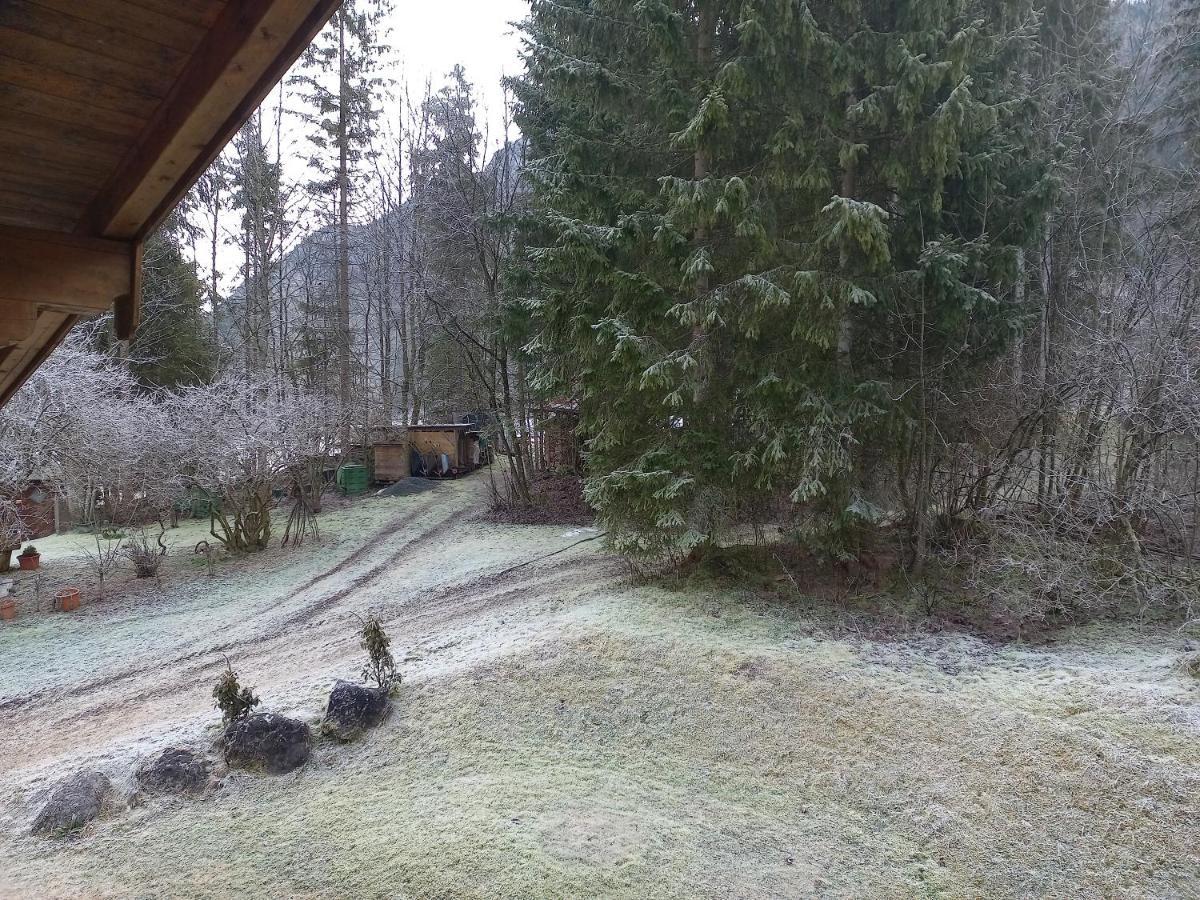Ferienwohnung Am Wald Waidring Bagian luar foto